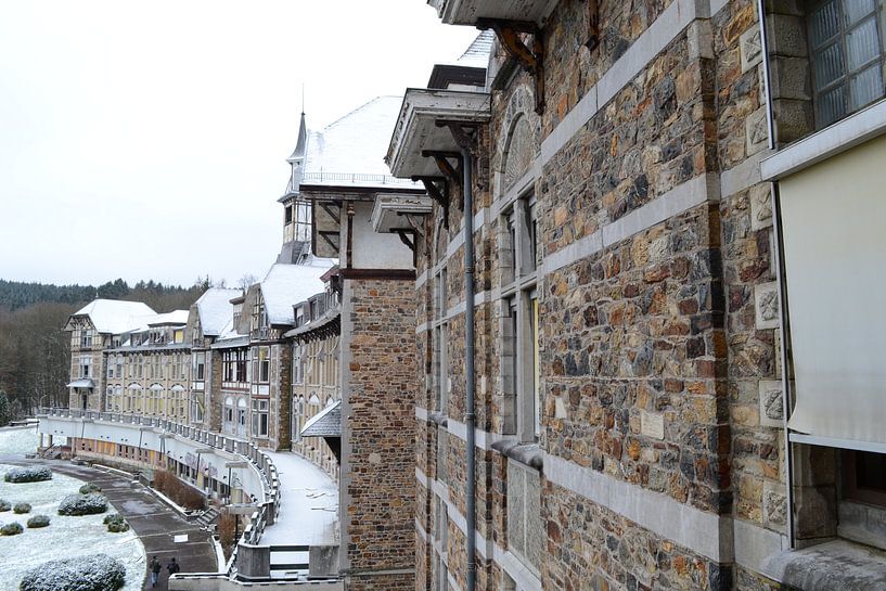 Basil by Dimitri Declercq