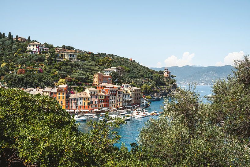 Port of Portofino by Liz Schoonenberg