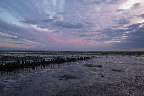 Eb op het Wad