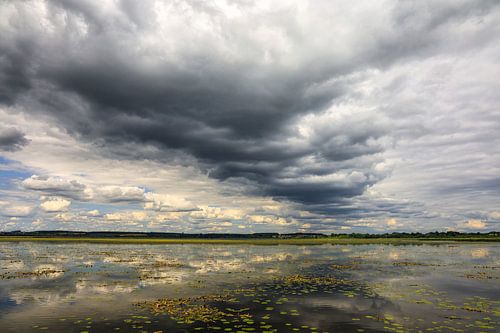 Federsee oeverlandschap met donkere wolken