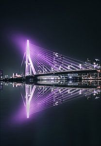 Purple Erasmusbrug in Rotterdam, reflection in the water sur vedar cvetanovic