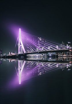 Paarse Erasmusbrug Rotterdam, weerspiegeld in het water van vedar cvetanovic