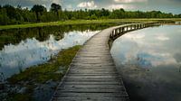 The raft path