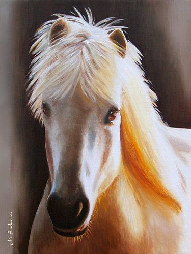 Portret IJslands paard