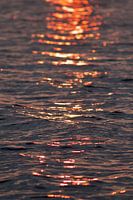 Coucher de soleil Lauwersmeer 3