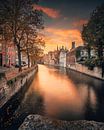 Groenerei, Brugge van Joris Vanbillemont thumbnail