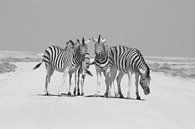 Zebras im Etoscha-Nationalpark von Ronald Gorter Miniaturansicht