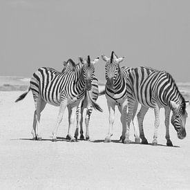 Zebra's in Etosha National Park van Ronald Gorter