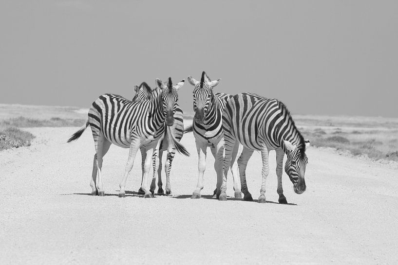 Zebras im Etoscha-Nationalpark von Ronald Gorter