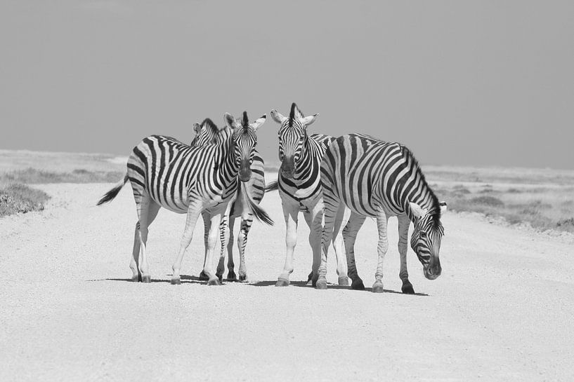 Zebra's in Etosha National Park van Ronald Gorter