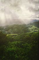 Near sunset
