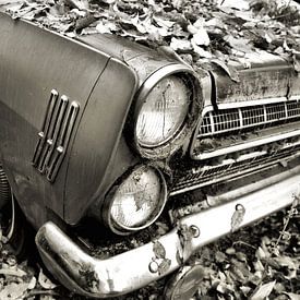 Car in fall by Jo Stoop
