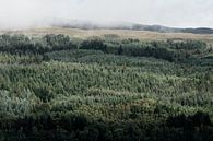 Uitzicht vanaf Loch Ness in Schotland op een prachtig bos van Thea.Photo thumbnail