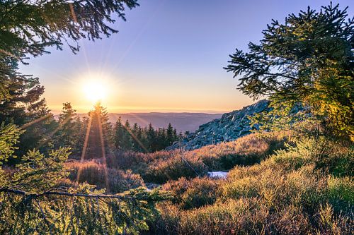 Nature in the Harz Mountains