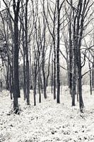 Cold winter day