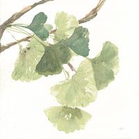 Gingko Leaves I op Wit, Chris Paschke