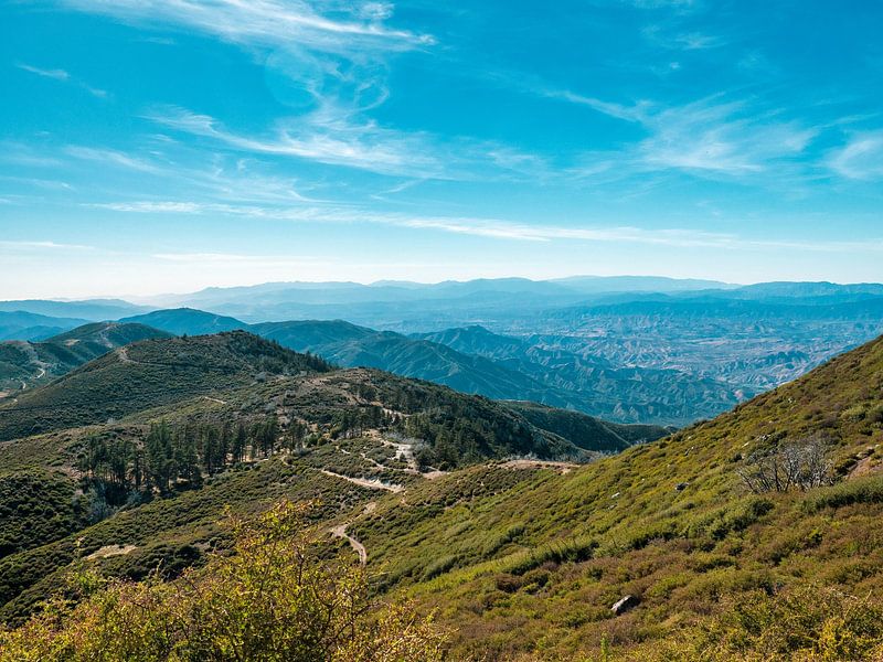 Green forest land overlooking a valley by Marc van den Elzen