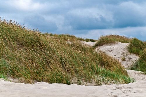 Een betoverend duinenparadijs aan de Noordzee in Denemarken
