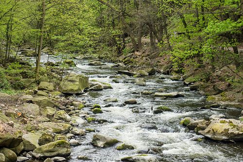 Landscape with river and trees