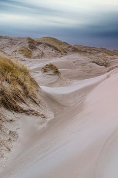 Duinen langs de Nederlandse kust van eric van der eijk