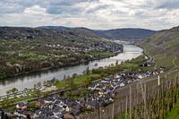 Panoramisch uitzicht op het Moezeldal