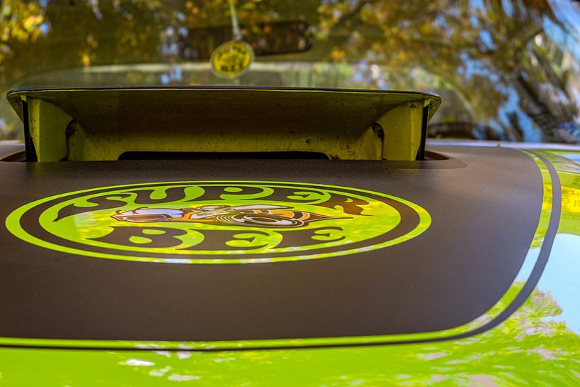 Super Bee Power von Photoart-Naegele