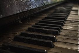 Pianoman by Sieger van Zwol