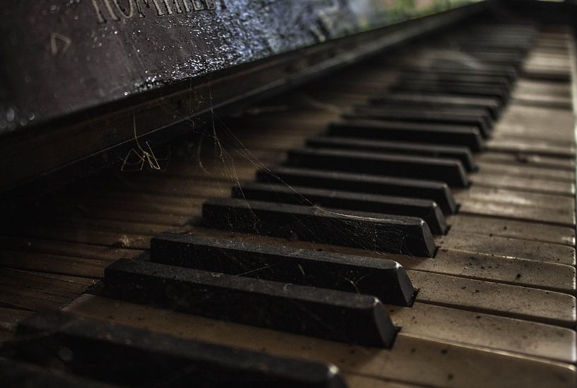 Pianoman by Sieger van Zwol