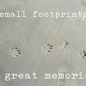 hond voetjes in het strand van LidyStuit