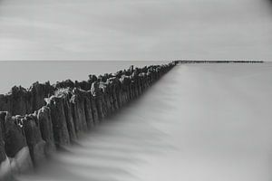 Bildende Kunst