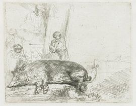 The sow, Rembrandt van Rijn