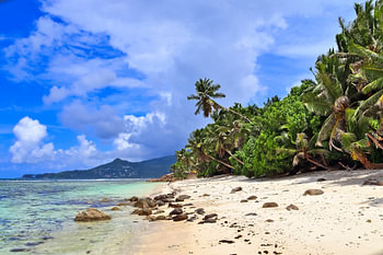Traumhafter Stand auf den Seychellen