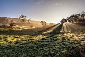 Lever du soleil Fijlenerbos sur Rob Boon