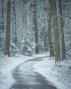 Winterlicher Waldweg