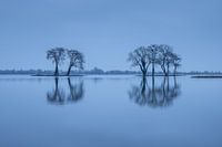 Blauwe uur Reeuwijkse Plassen