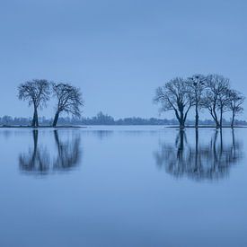 Heure bleue Reeuwijkse Plassen sur jaapFoto