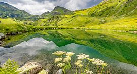 Het Seekareck wordt weerspiegeld in het reservoir