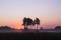 Sonnenaufgang Treeker Punkt