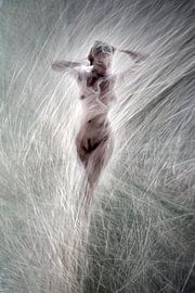 Grass whispers 3 by Fotokompost von Lichtgestalt