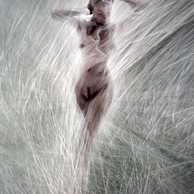 Grasgeflüster 3 von Fotokompost von Lichtgestalt