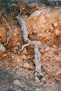 Ongerept Ibiza 1 // Natuur- en Reisfotografie