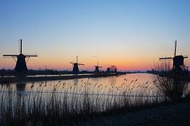 Winter op de kinderdijk