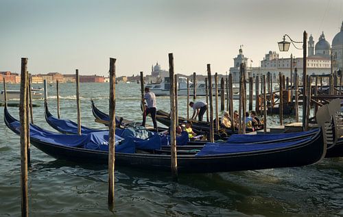 Italie, Venise, gondoles, soleil couchant