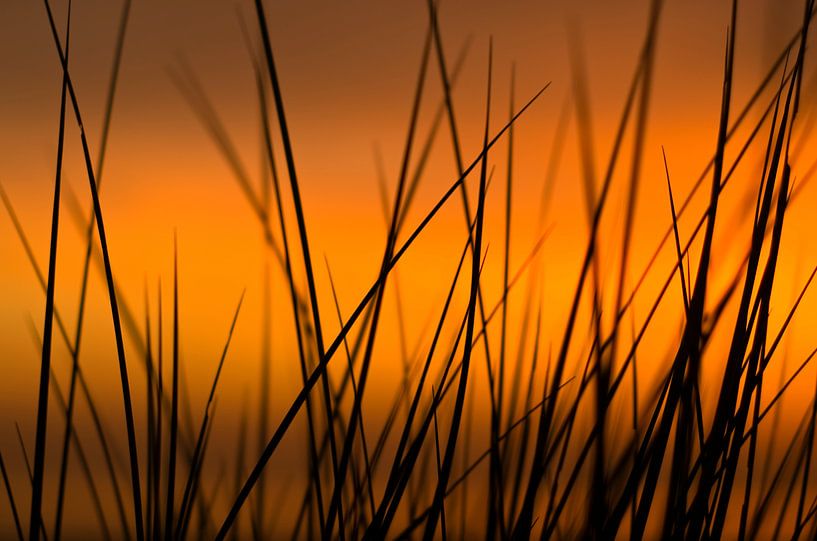 Zonsondergang in de duinen van Vincent van Kooten