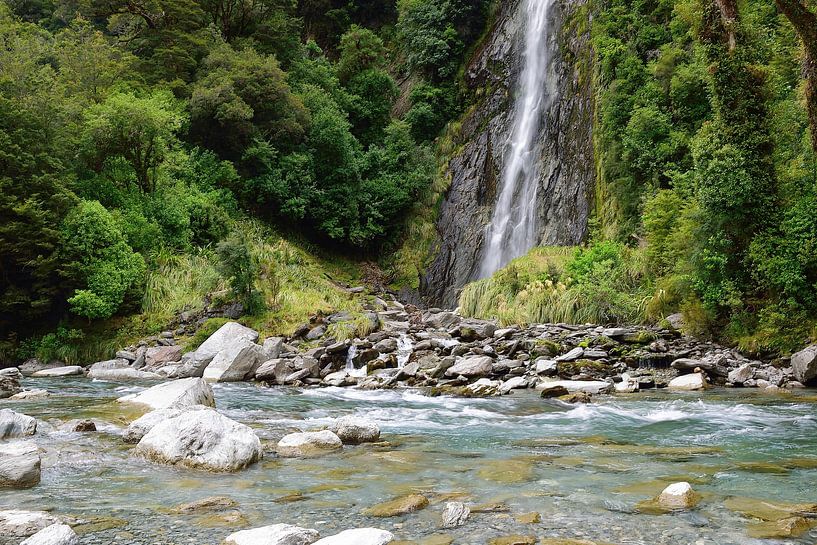 Thunder Creek Falls falling into the Haast River by Frank's Awesome Travels