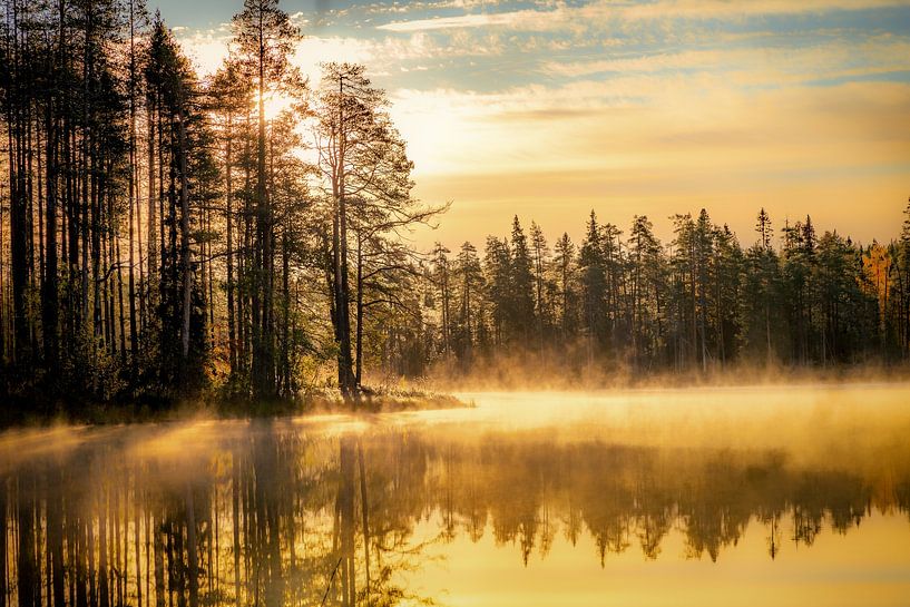 Finnland von Ger vd Broek natuurfotografie