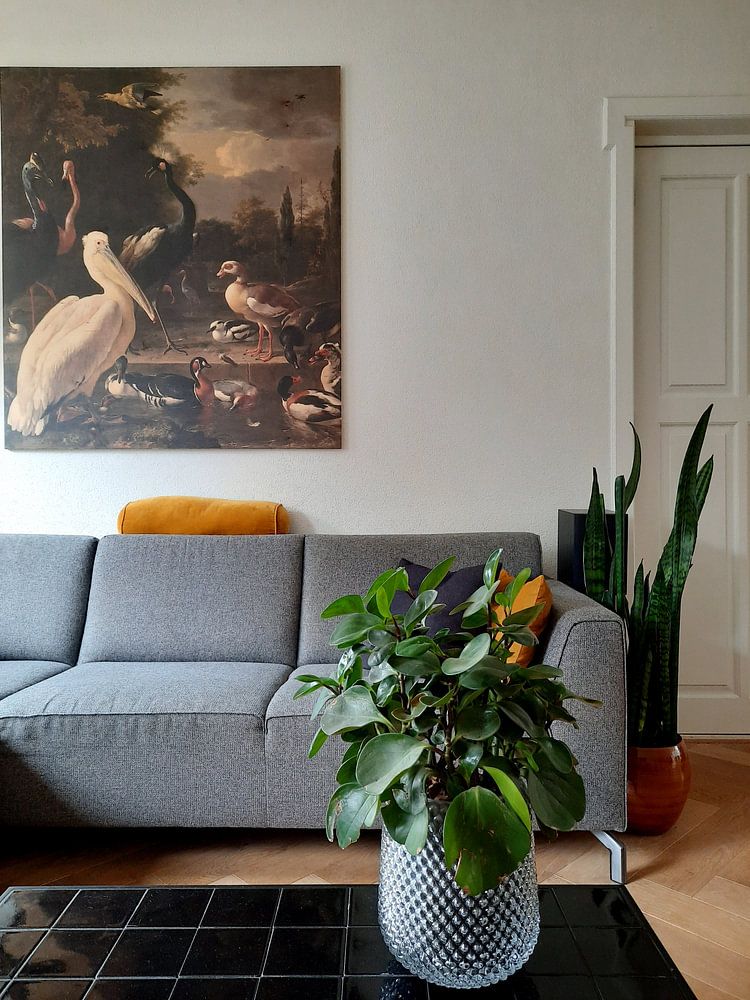 Die schwimmende Feder - Melchior de Hondecoeter 