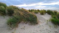 Dune 1
