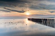 Sunset ameland van Stephan Bauer thumbnail