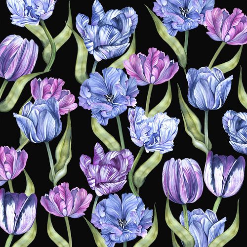 aquarelle de tulipe